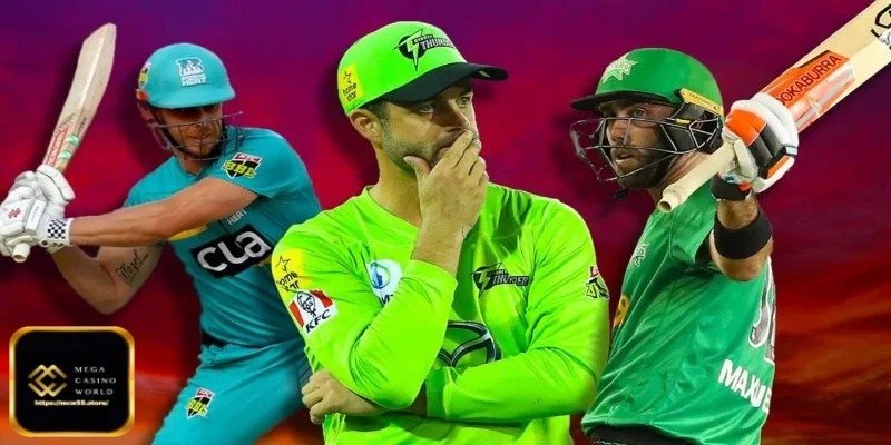 বড় ক্রিকেট টুর্নামেন্ট – একটি সামগ্রিক পরিচিতি