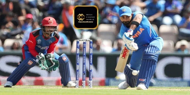 ক্রিকেটের জনপ্রিয় বেটের ধরন