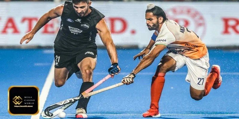 বিভিন্ন ক্রিকেট বেটিং টুর্নামেন্ট