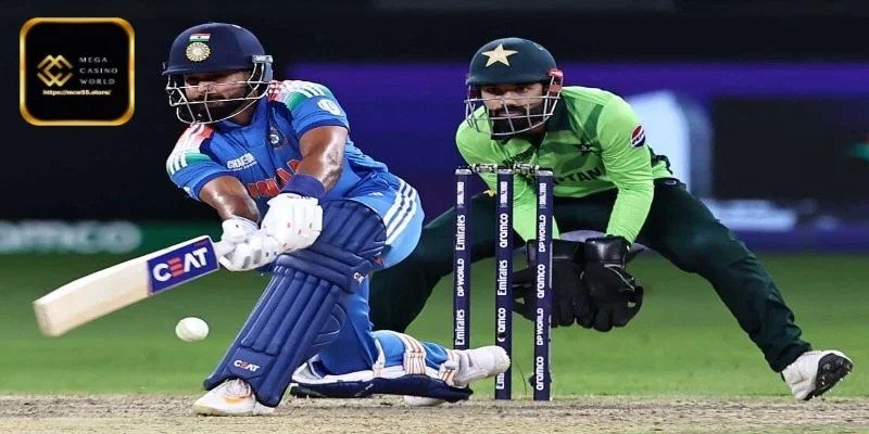 আবহাওয়া ও মাঠের অবস্থা