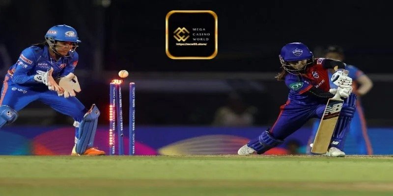 ক্রিকেটের দামের হার কী?