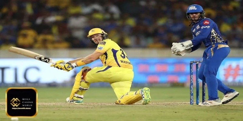 লাইভ ক্রিকেট বেটিং কেন এত আকর্ষণীয়?